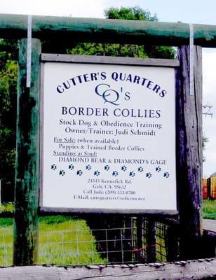 Cutters Quarters Border Collies & Judi Schmidt