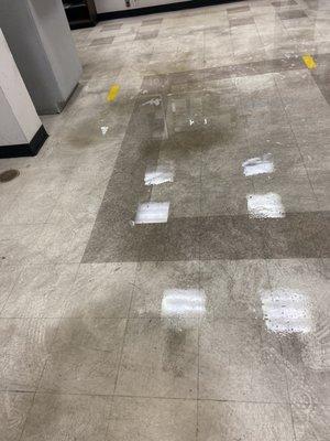 Martha Divas Carpet & Floor Care