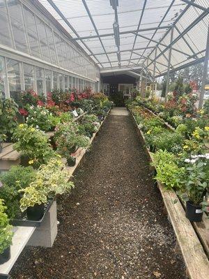 Home Grown Gardens