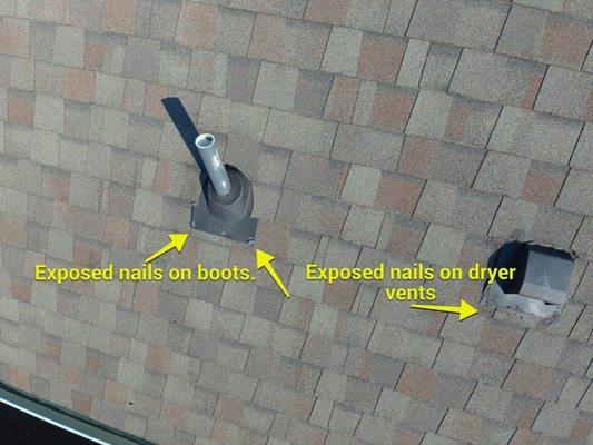 Rhino Restoration of Georgia