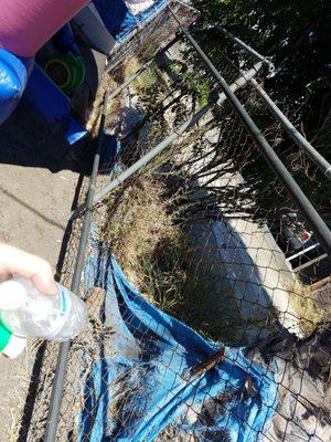 Chicas Fitness & Dance