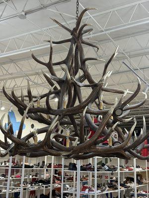 Pavement - Modern & Recycled Fashion