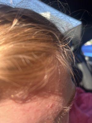 Heidi Goodarzi, MD FAAD - Juvive