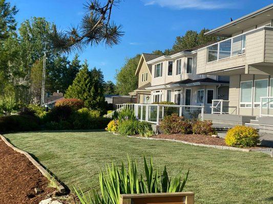 Mateo Tree Service Of Ferndale