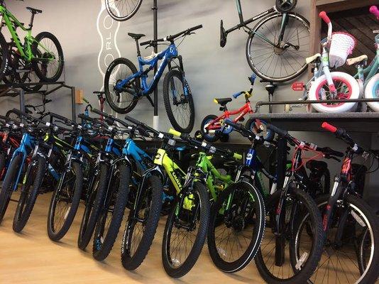 Ridgeline Bicycles