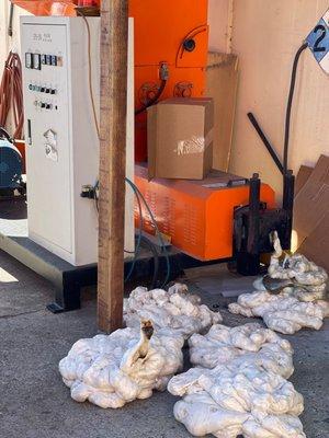 Melted by a densifier EPS Styrofoam