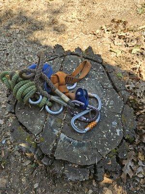 These guys are SAFE!