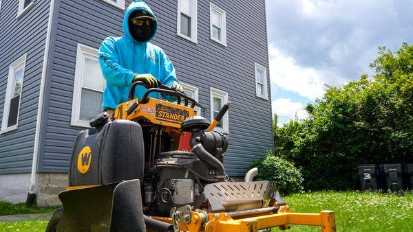 dethatching the lawn for fall clean up