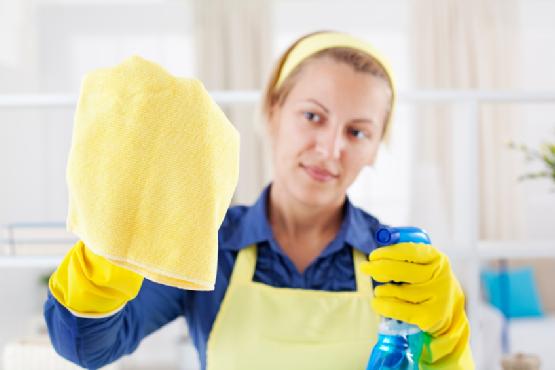 Maid To Please