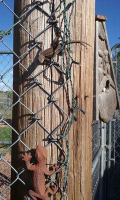 White Mountain K9 Camp