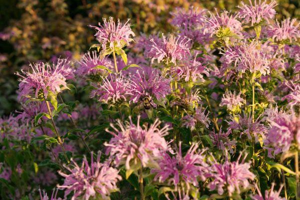 Noo Good Photography