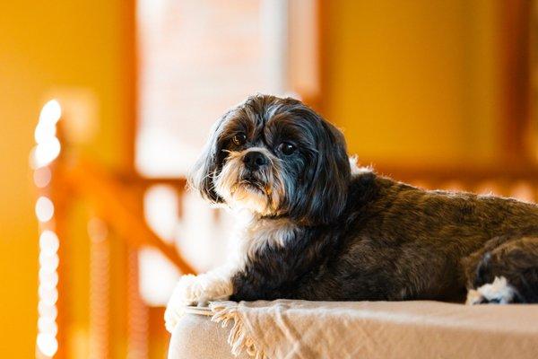 Katie Swift Photography