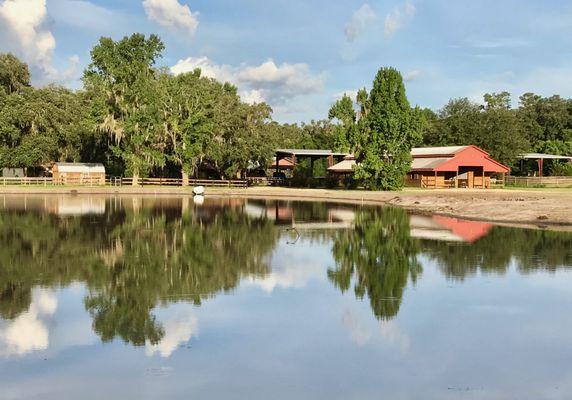 Mystique Pond Farm