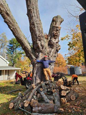 Maine Arborworks