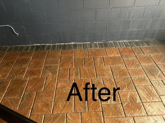 Hyssop Cleaning & Organizing Services