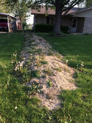 The mound of dirt in the front yard that I have to level myself now. This doesn't include the backyard too.