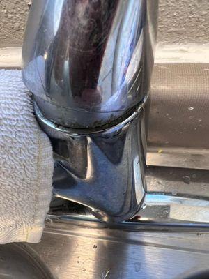 My kitchen faucet. And they "cleaned " TWICE