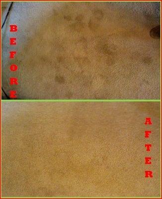 Look at the difference!