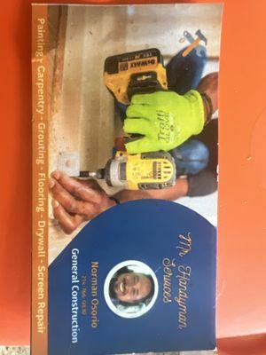 Mr Handyman Services