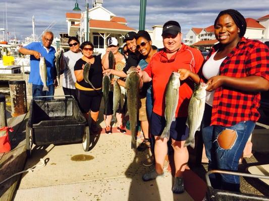 Jig This Charter Fishing