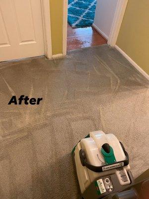 Detailed Ralph Carpet Rug & Upholstery Cleaning