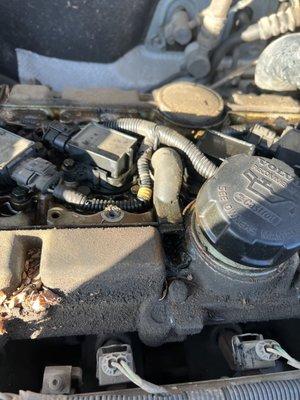 WizAnSonz Auto Repair & Detail