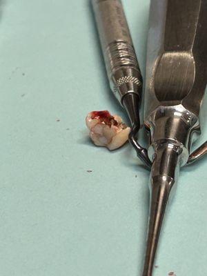 Jefferson Dental & Orthodontics - Deer Park