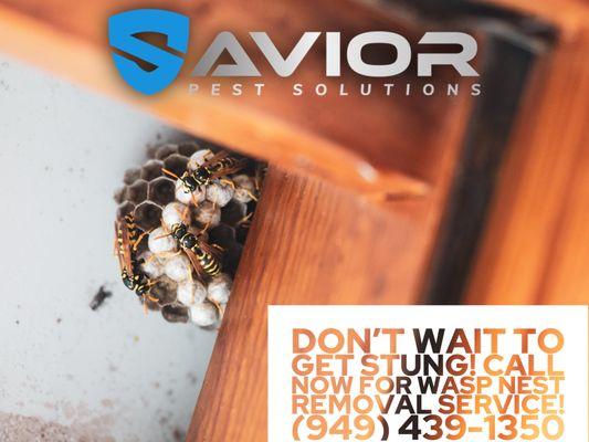 Savior Pest Solutions