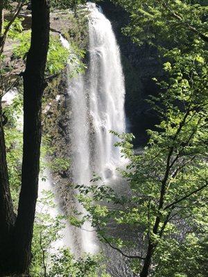 The Scheppard's Hook