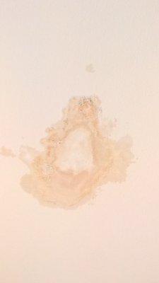 Water stain, bedroom ceiling.