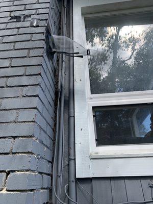 Structural Bee Colony Removal