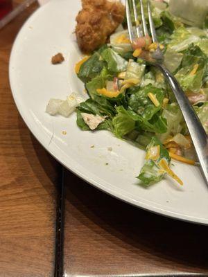 The Roost Bar And Grill