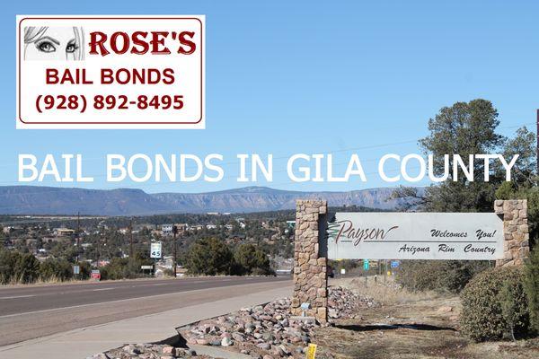 Rose's Bail Bonds