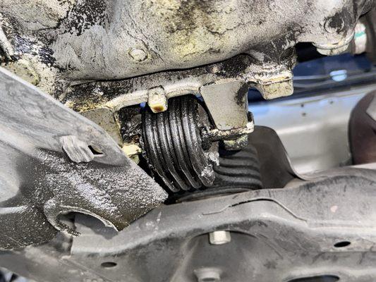 Preferred Motor Cars