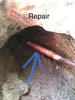 Reliable Leak Detection and Rooter Specialists