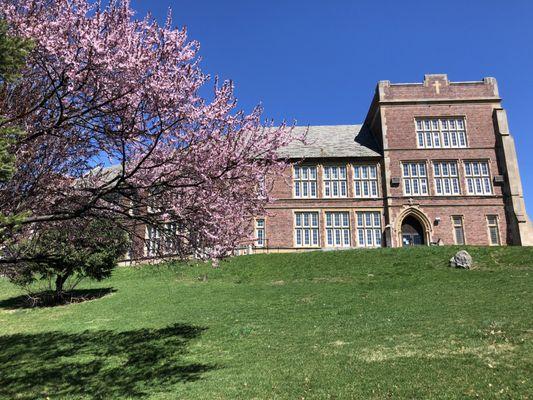 Immaculate Conception Church