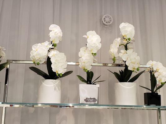 hand selected orchards