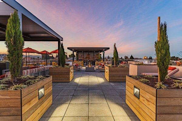 Bayswater Apartments