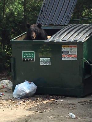 Mountain Shadows Lake Association