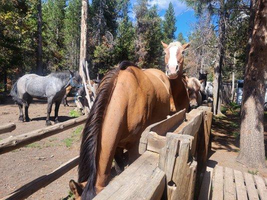 Dry Ridge Outfitters at Harriman State Park