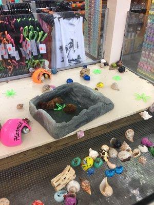 Sunsations Main Office