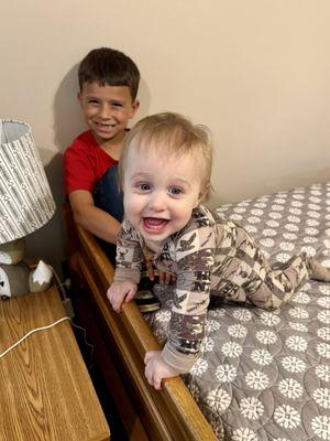 Cubs & Cuties Pet & Playcare