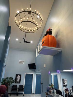 Mill Valley Veterinary Clinic