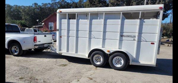 AJ Livestock Horses Hauler