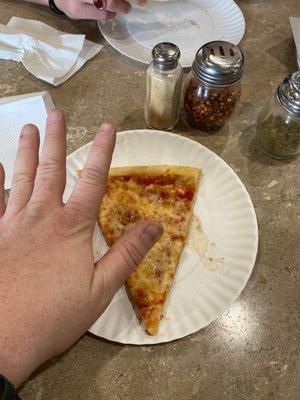 All their pizza on display is huge, What a joke! Scam!