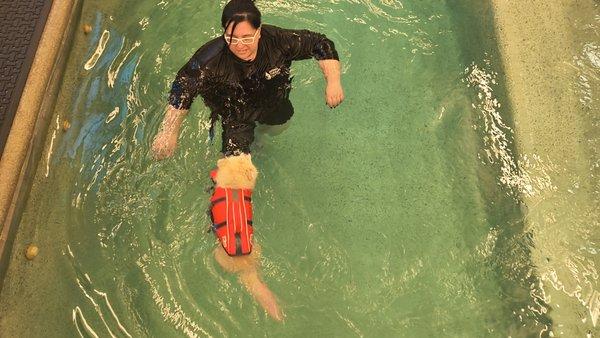 Animal Therapy Center