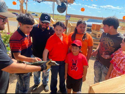 Country Side Flowers