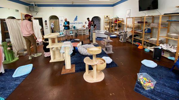 A great space to enjoy cats