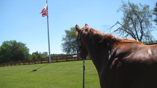 Tennessee Real Properties