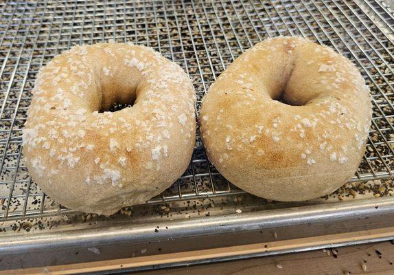 Salt bagels